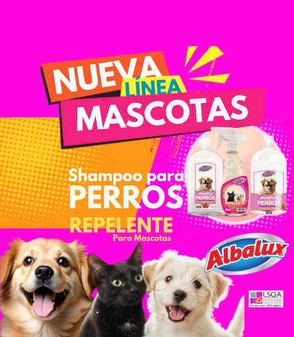 DIXO SPA